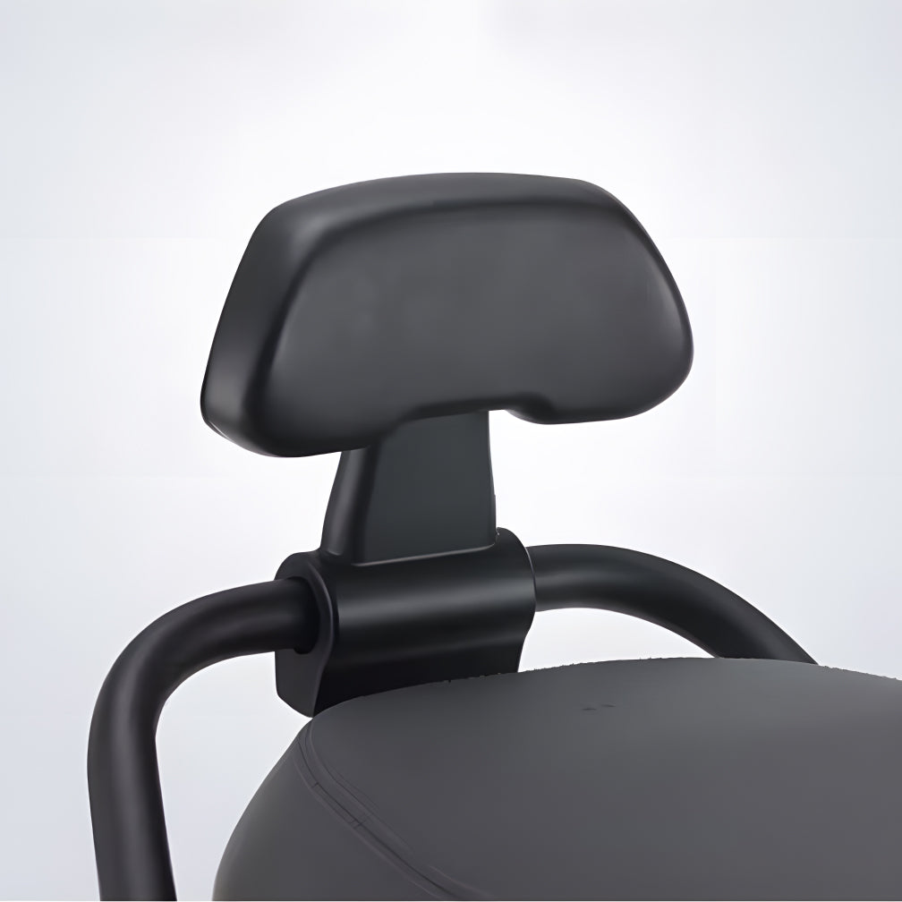 Ninebot Electric Motorcycle Backrest